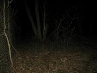 Chicago Ghost Hunters Group investigates Bachelors Grove (96).JPG